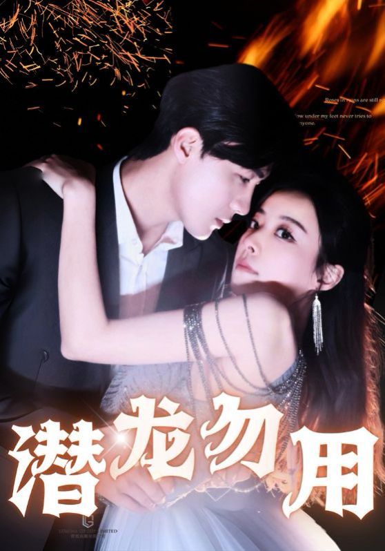 《潜龙勿用》海报