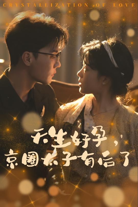 《天生好孕京圈太子有后了（你与光共落人间）》海报
