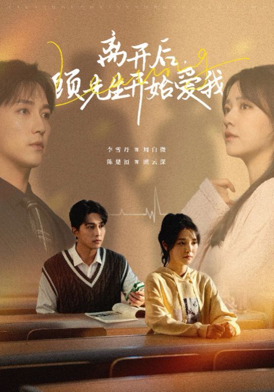 《离开后顾先生开始爱我》海报