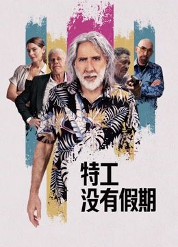 《特工没有假期》海报