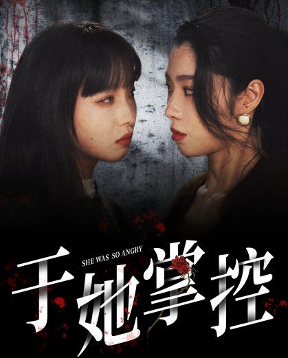 《于她掌控》海报