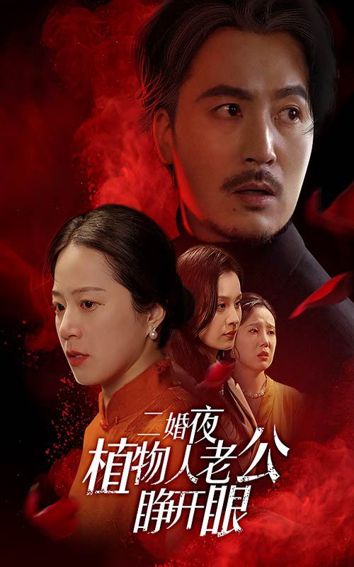 《二婚夜植物人老公睁开眼》海报