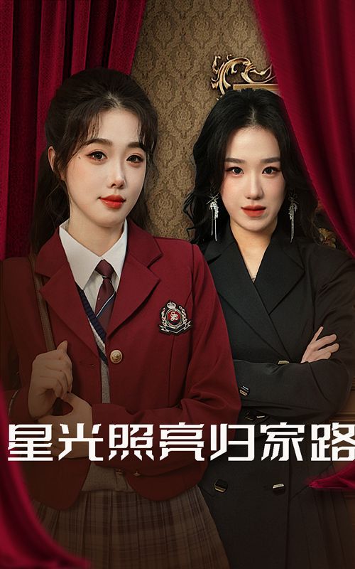 《星光照亮归家路》海报