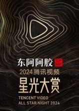 《2024腾讯视频星光大赏》海报