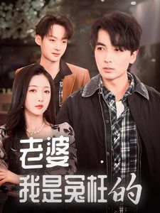 《老婆我是冤枉的》海报