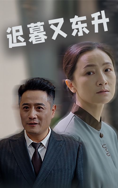 《迟暮又东升》海报