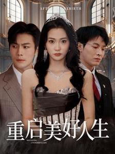 《重启美好人生》海报