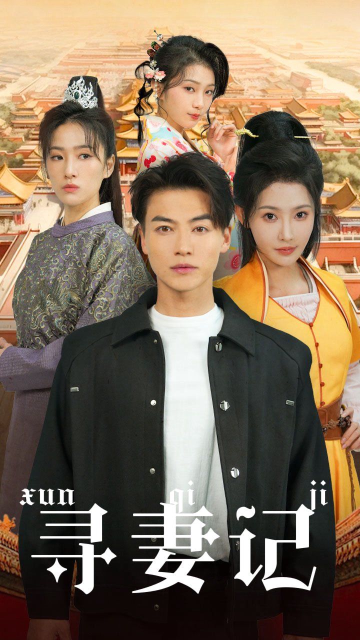 《寻妻记》海报