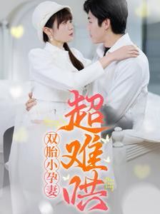 《双胎小孕妻超难哄》海报