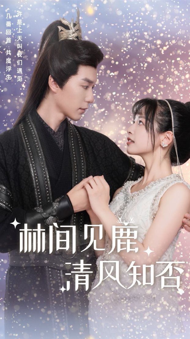 《林间见鹿清风知否》海报