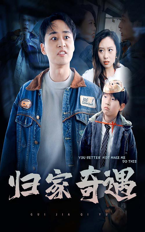《归家奇遇》海报