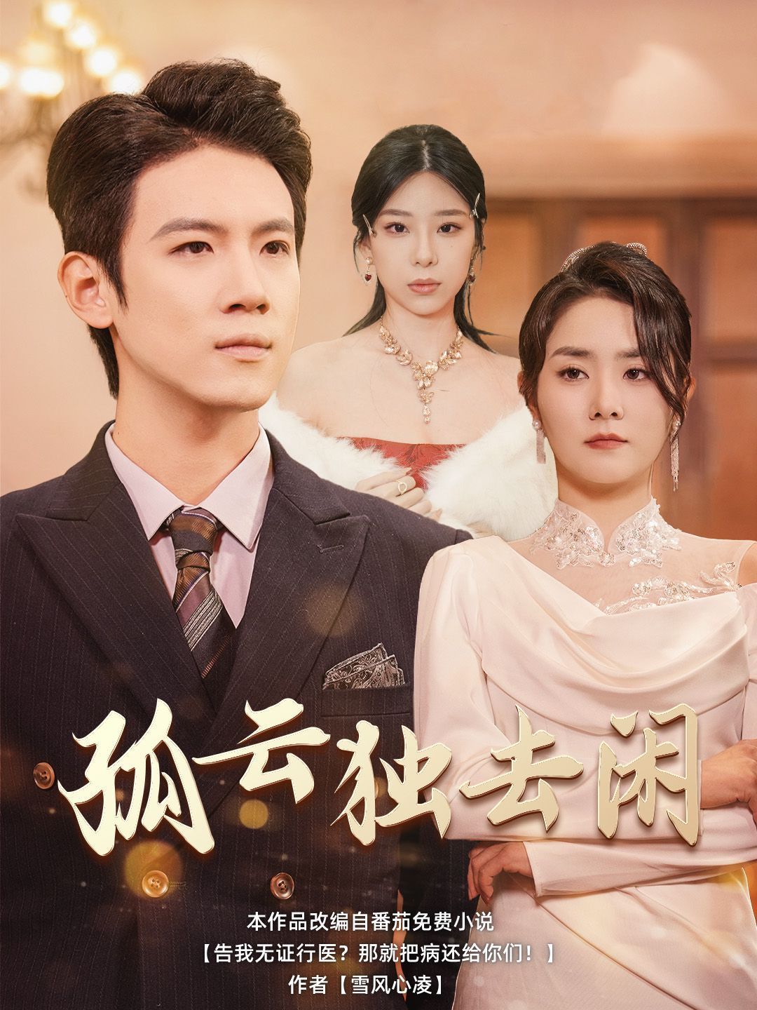 《孤云独去闲》海报