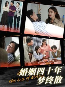 《婚姻四十年梦终散》海报