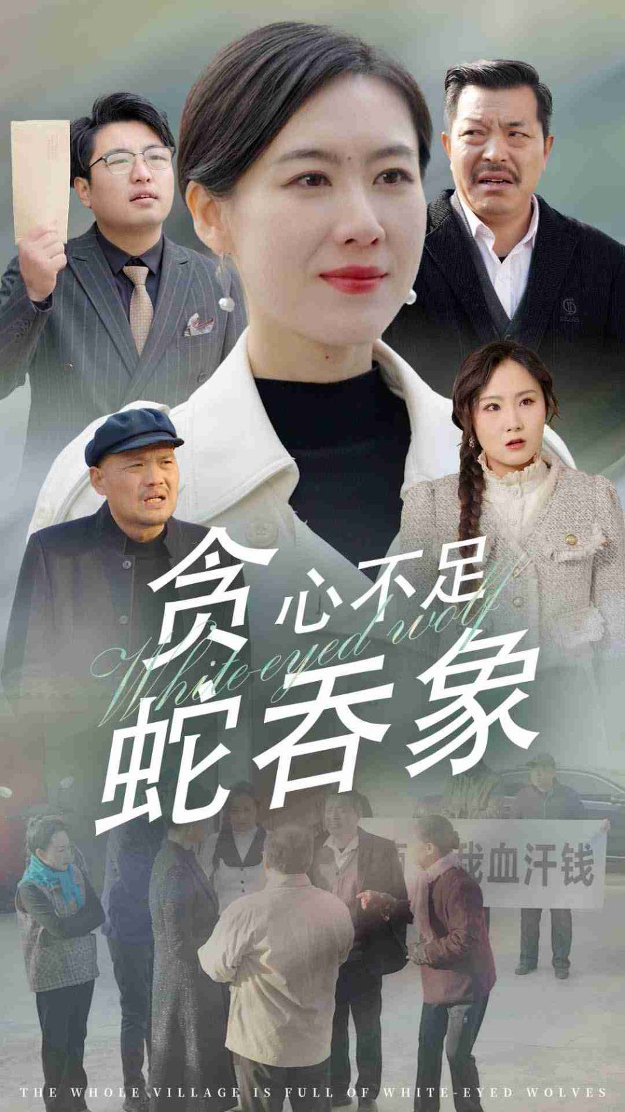 《贪心不足蛇吞象》海报