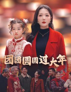 《团团圆圆过大年》海报