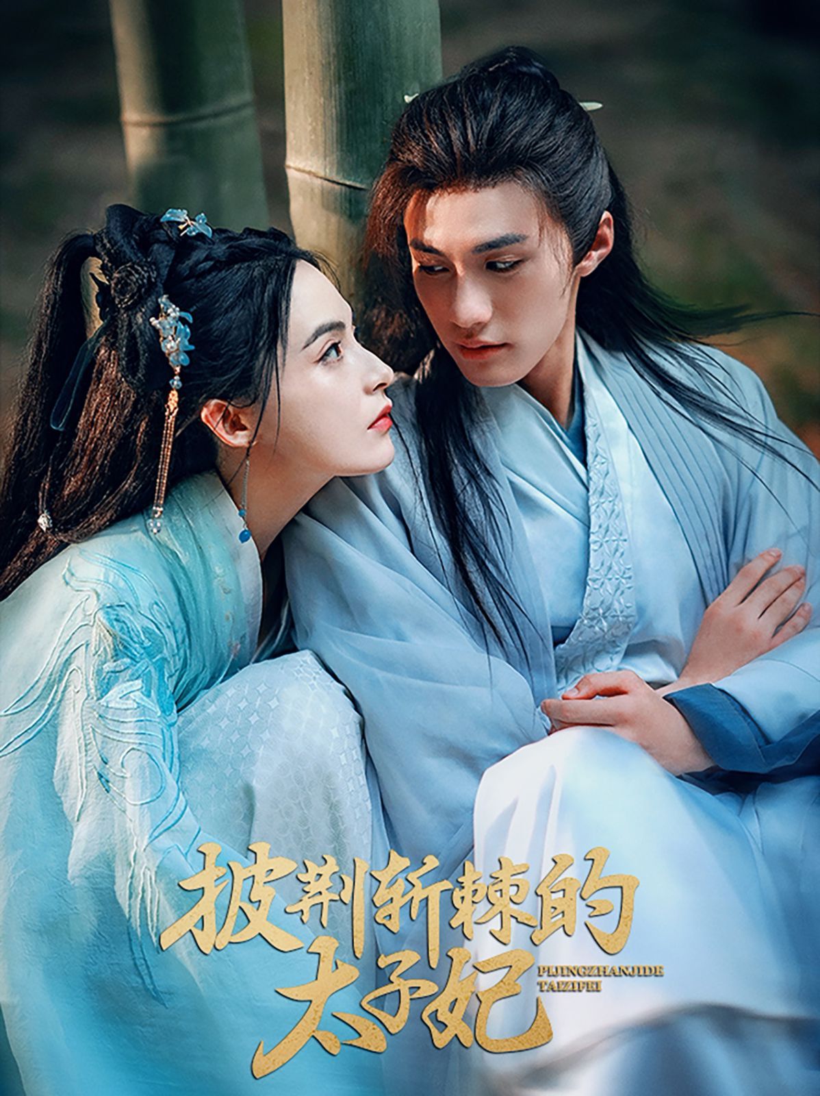 《披荆斩棘的太子妃》海报