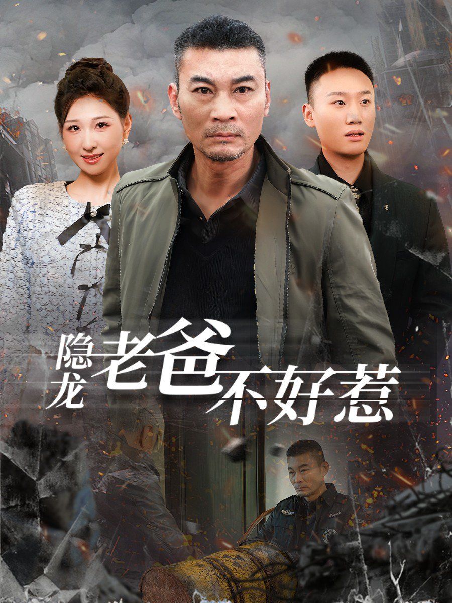 《隐龙老爸不好惹》海报