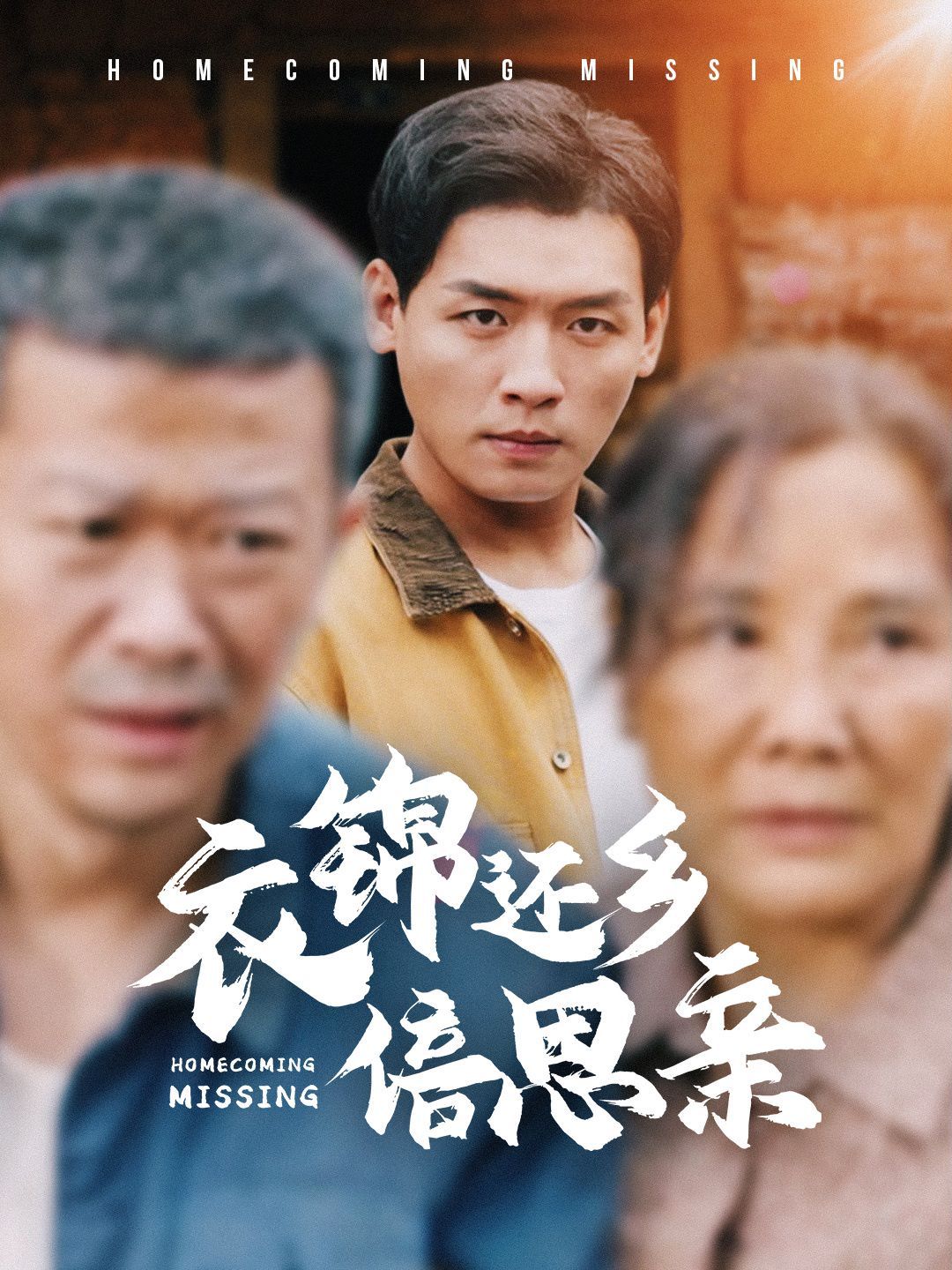 《衣锦还乡倍思亲》海报