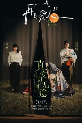 《再见爱人 第四季》海报