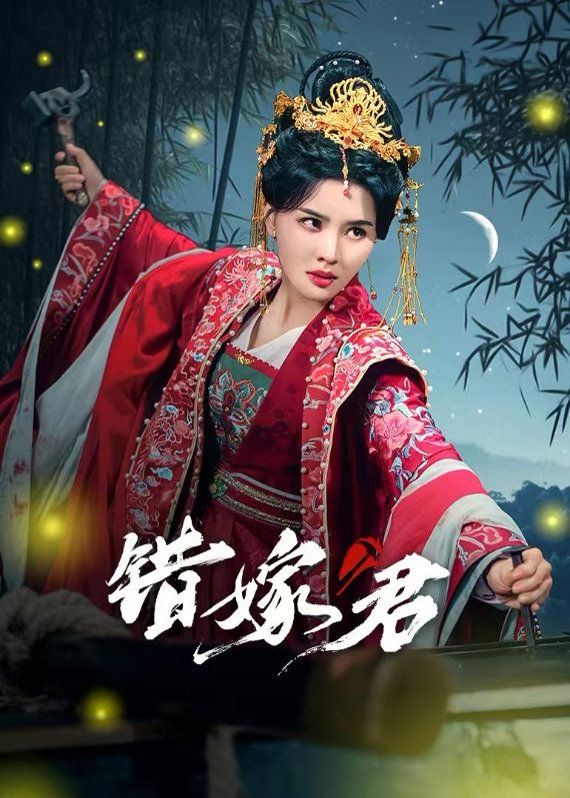 《错嫁君》海报