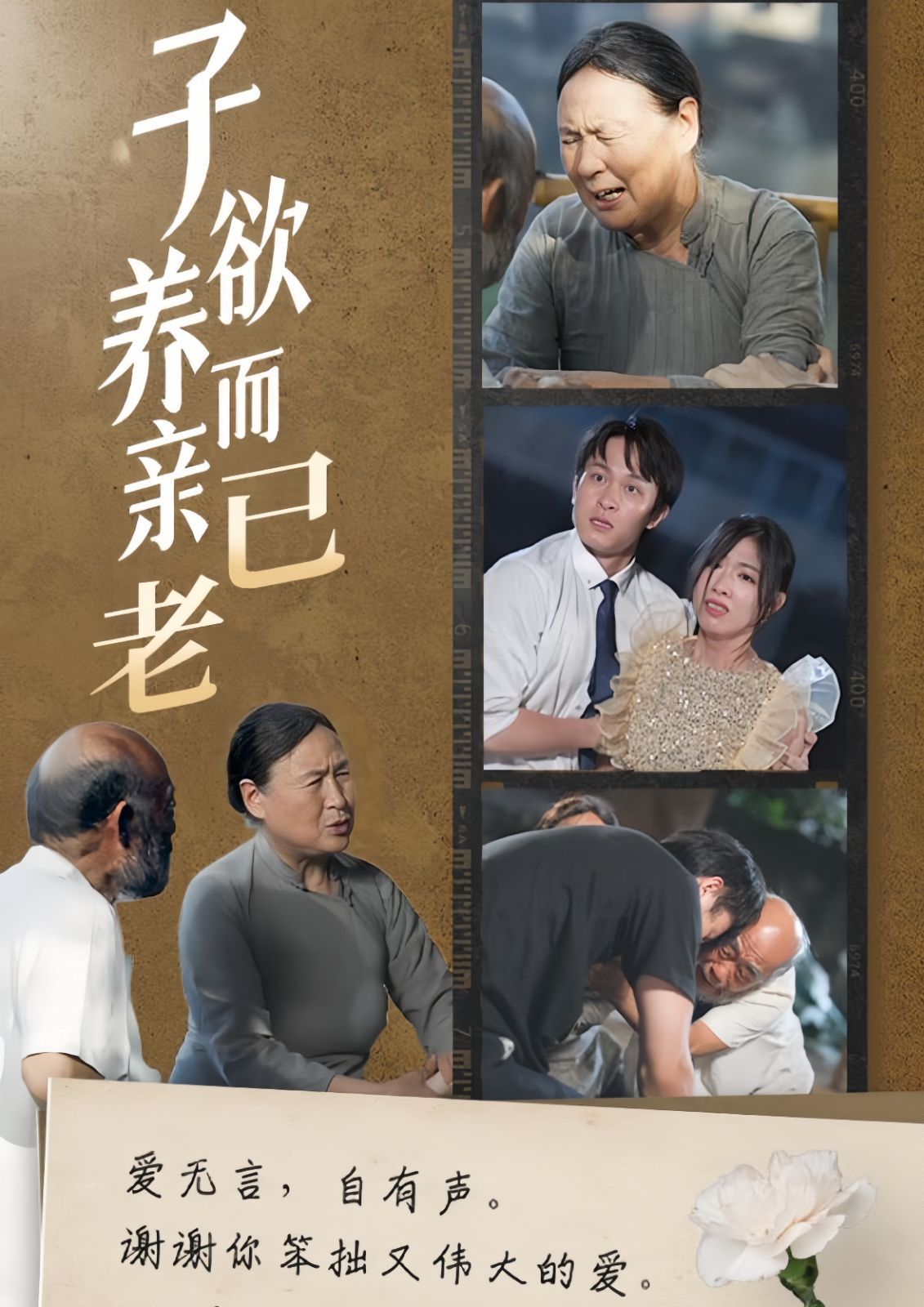 《子欲养而亲已老》海报