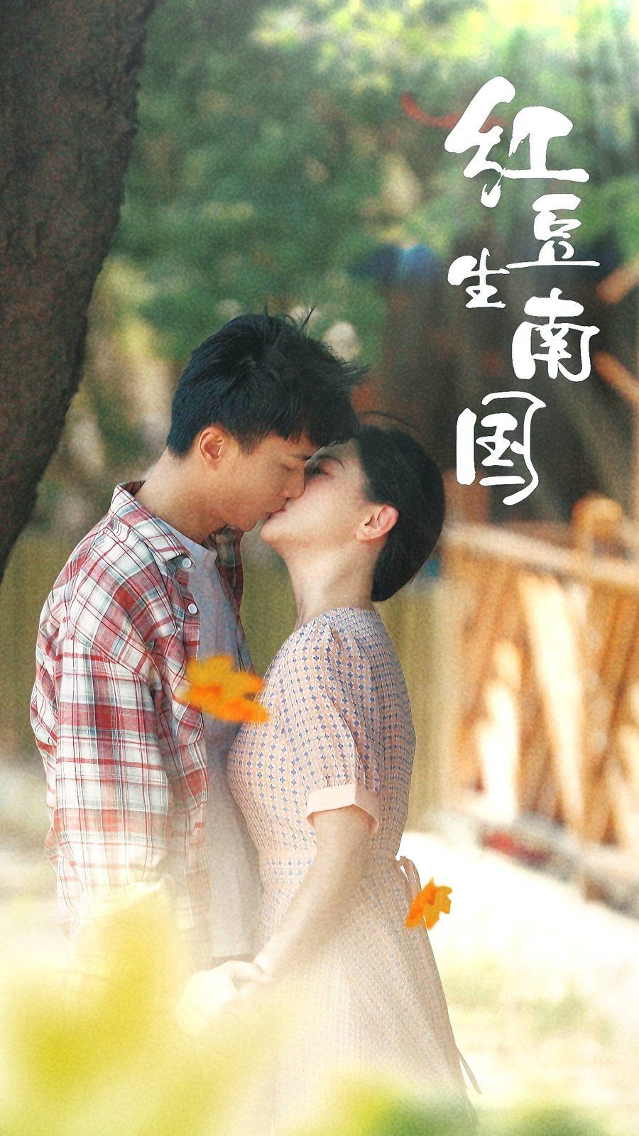 《红豆生南国》海报