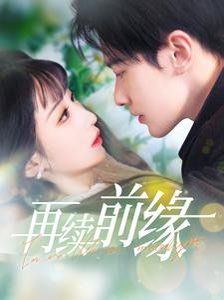 《再续前缘》海报