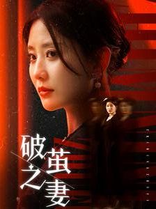 《破茧之妻（婚姻的救赎）》海报