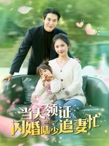 《当天领证闪婚陆少追妻忙》海报