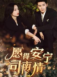 《愿得安宁司南晴》海报