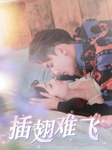 《插翅难飞》海报