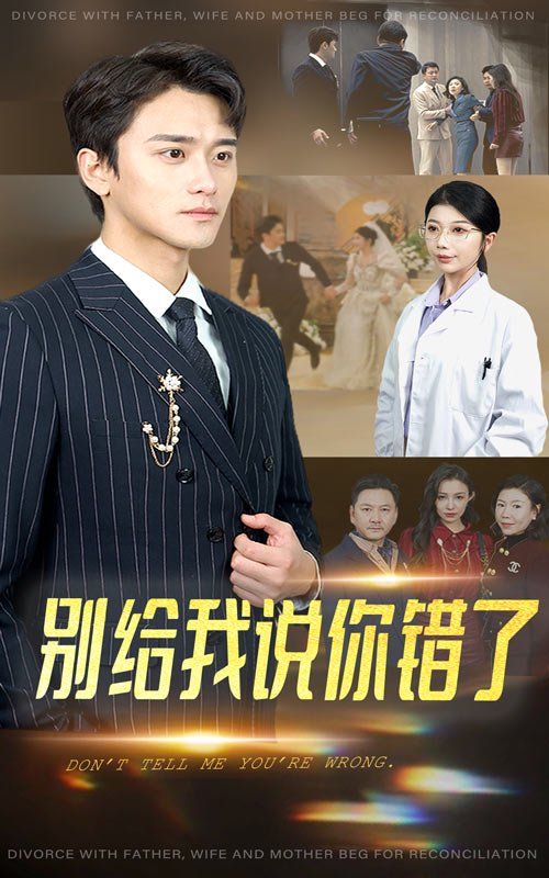 《别给我说你错了》海报