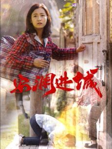 《安澜进城》海报