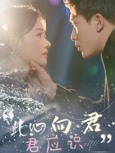 《此心向君君应识》海报