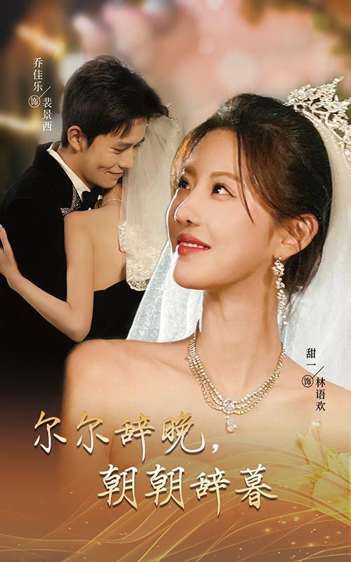 《尔尔辞晚朝朝辞暮-禁欲大佬宠她无度》海报