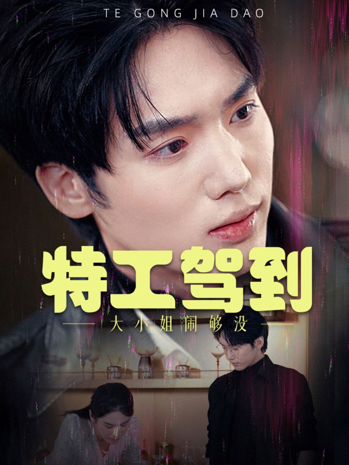 《特工驾到大小姐闹够没（特工驾到大小姐别闹了》海报