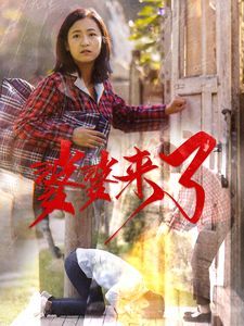 《婆婆来了》海报