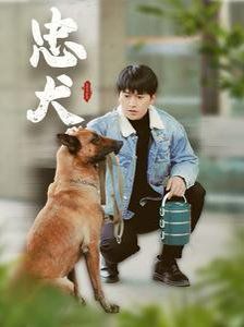 《忠犬》海报