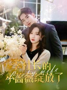 《季社长的小蔷薇绽放了》海报