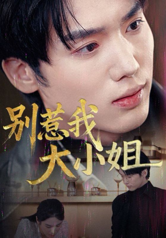 《别惹我大小姐》海报