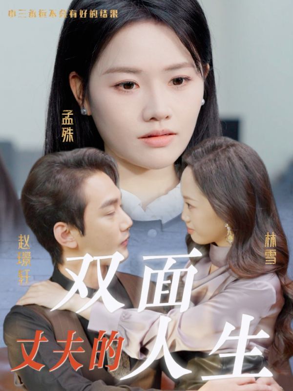 《丈夫的双面人生》海报