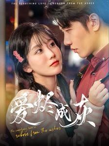 《爱烬成灰》海报