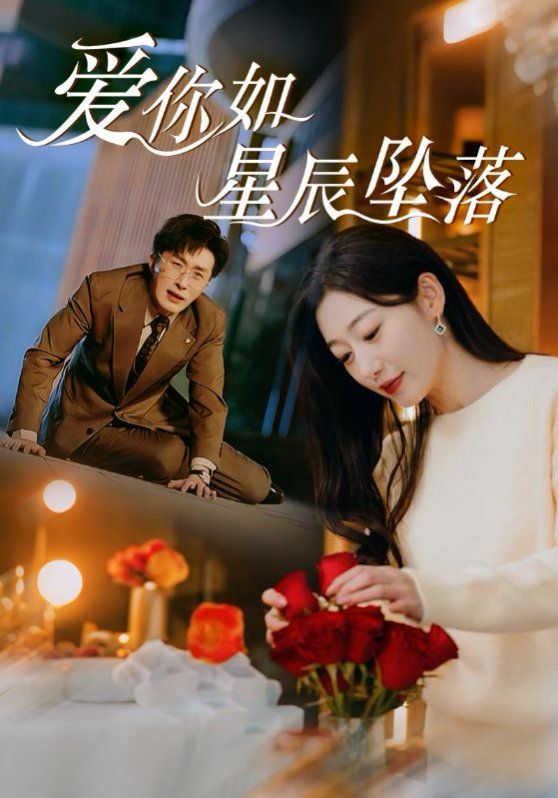 《爱你如星辰坠落》海报