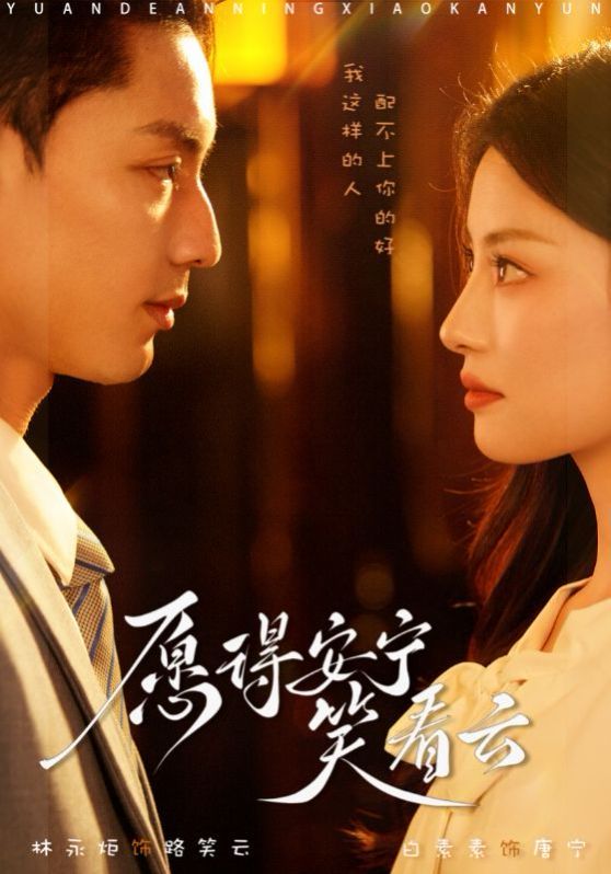 《愿得安宁笑看云》海报