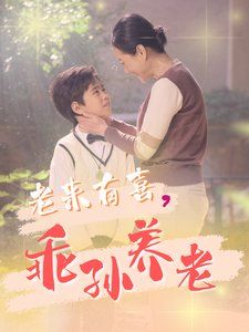 《老来有喜乖孙养老》海报