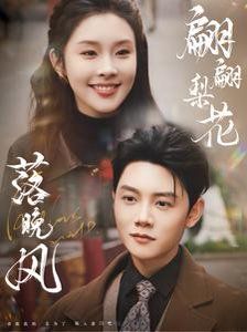 《翩翩梨花落晚风》海报