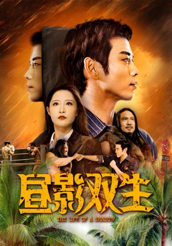 《昼影双生》海报