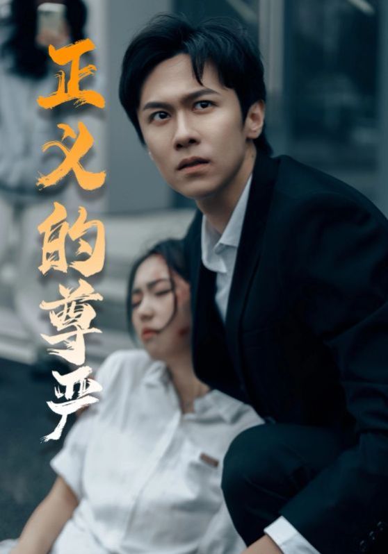 《正义的尊严》海报