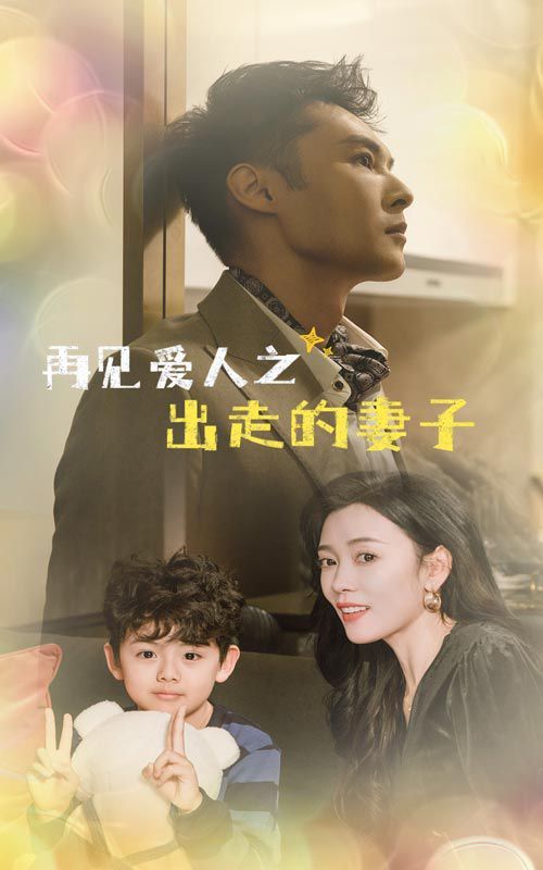 《再见爱人之出走的妻子》海报