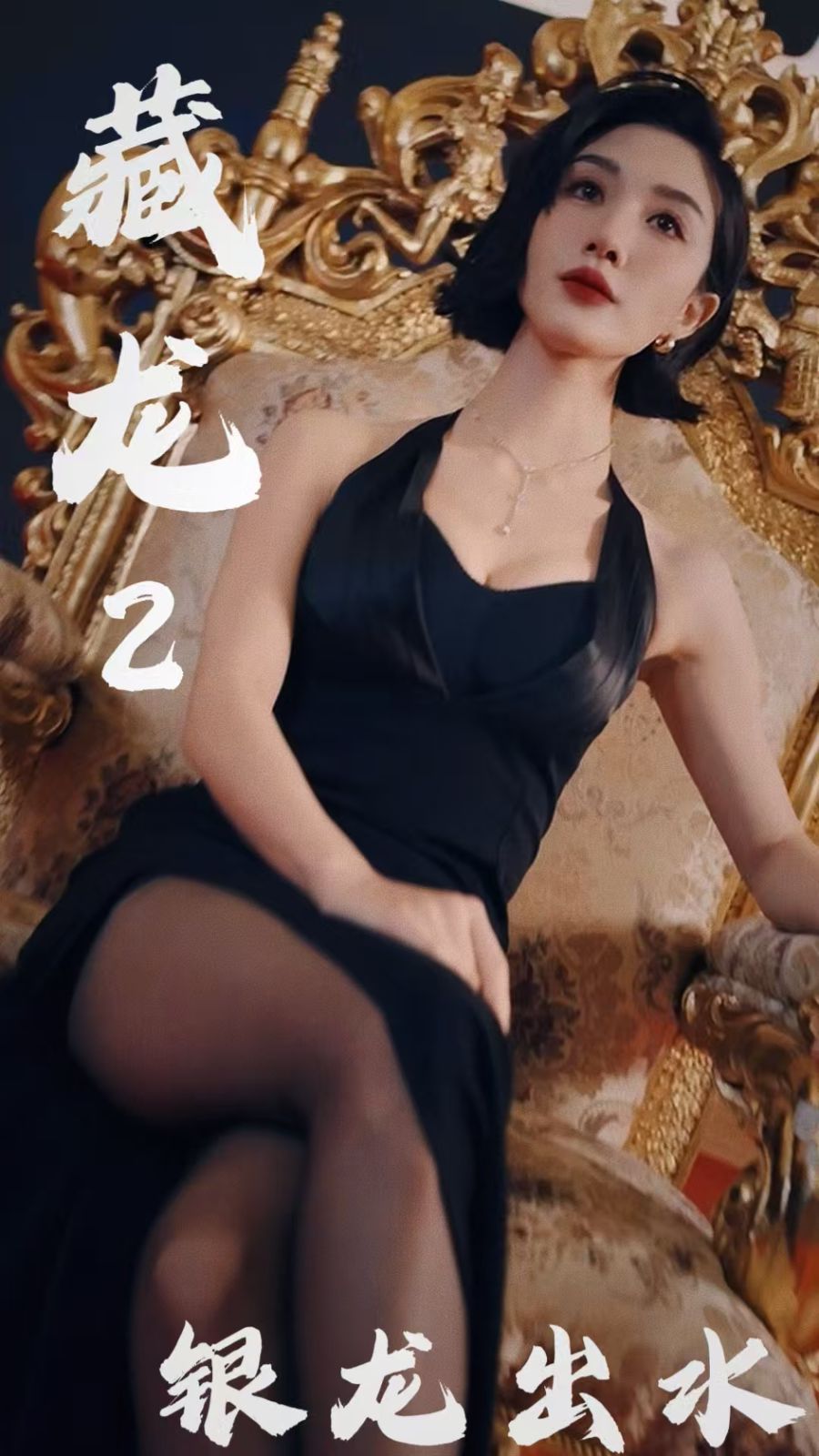 《藏龙2银龙出水》海报